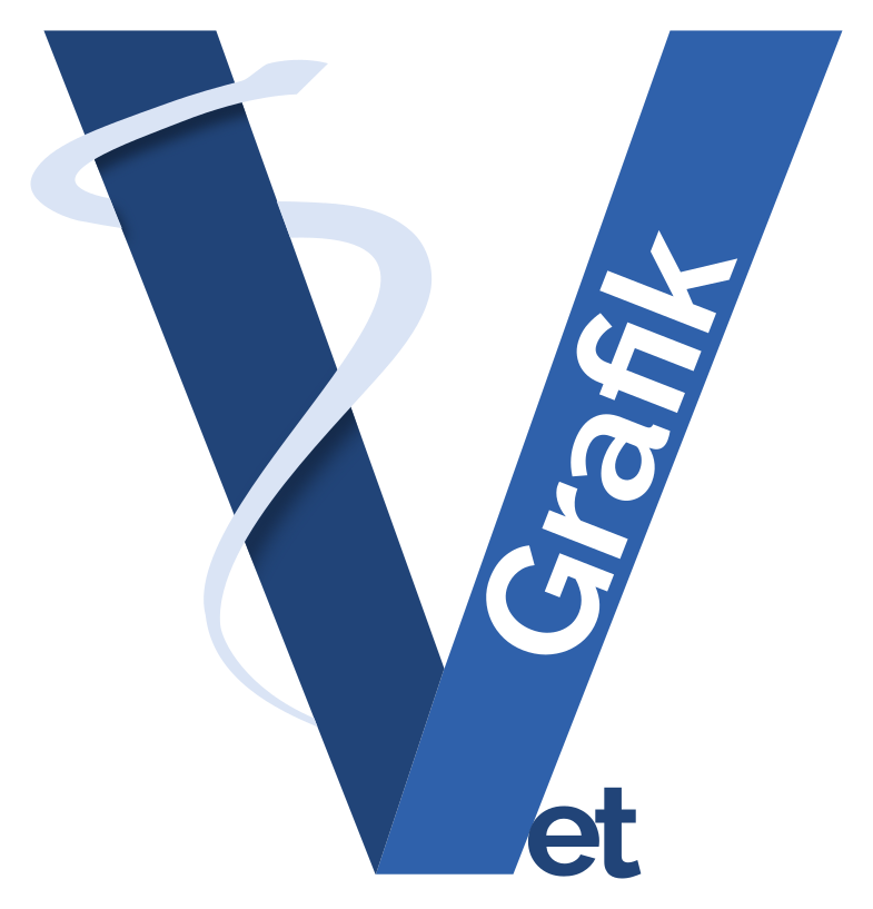 Création d'identité visuelle complète