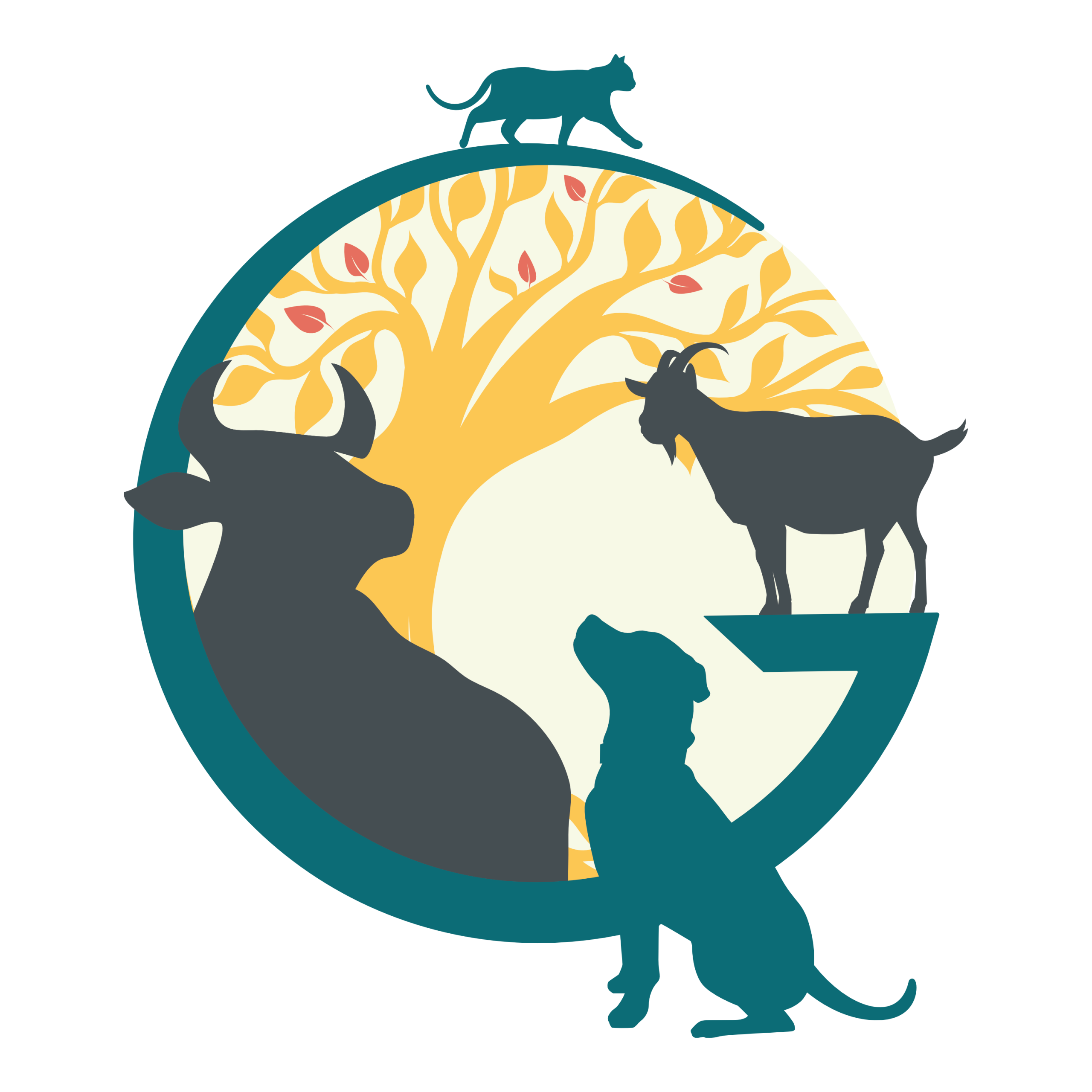 logo couleur fond TR