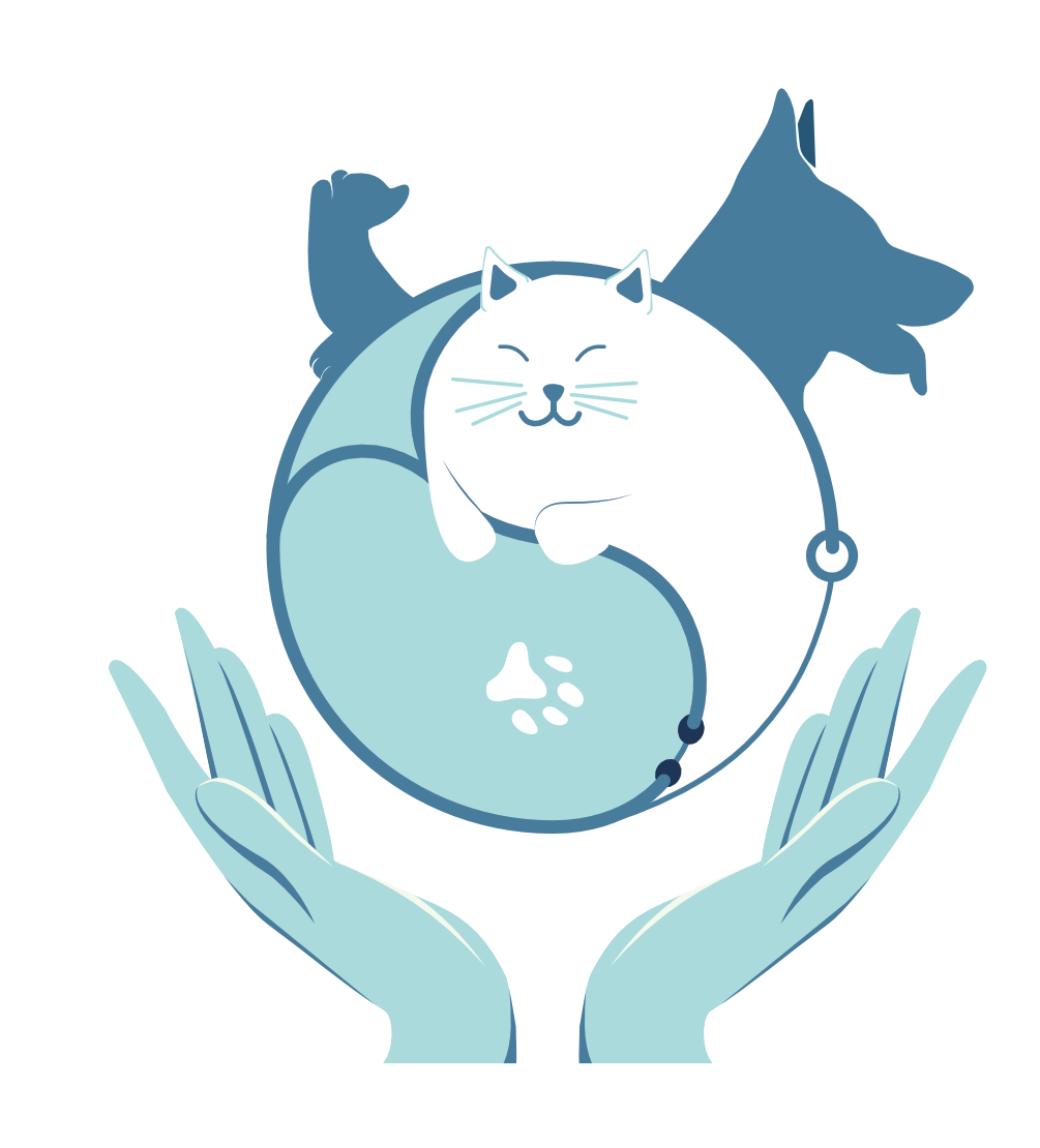 Clinique de Chacapuce