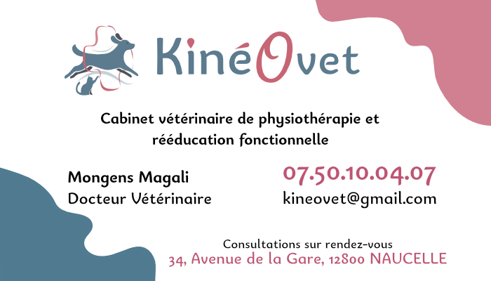  KinéOvet