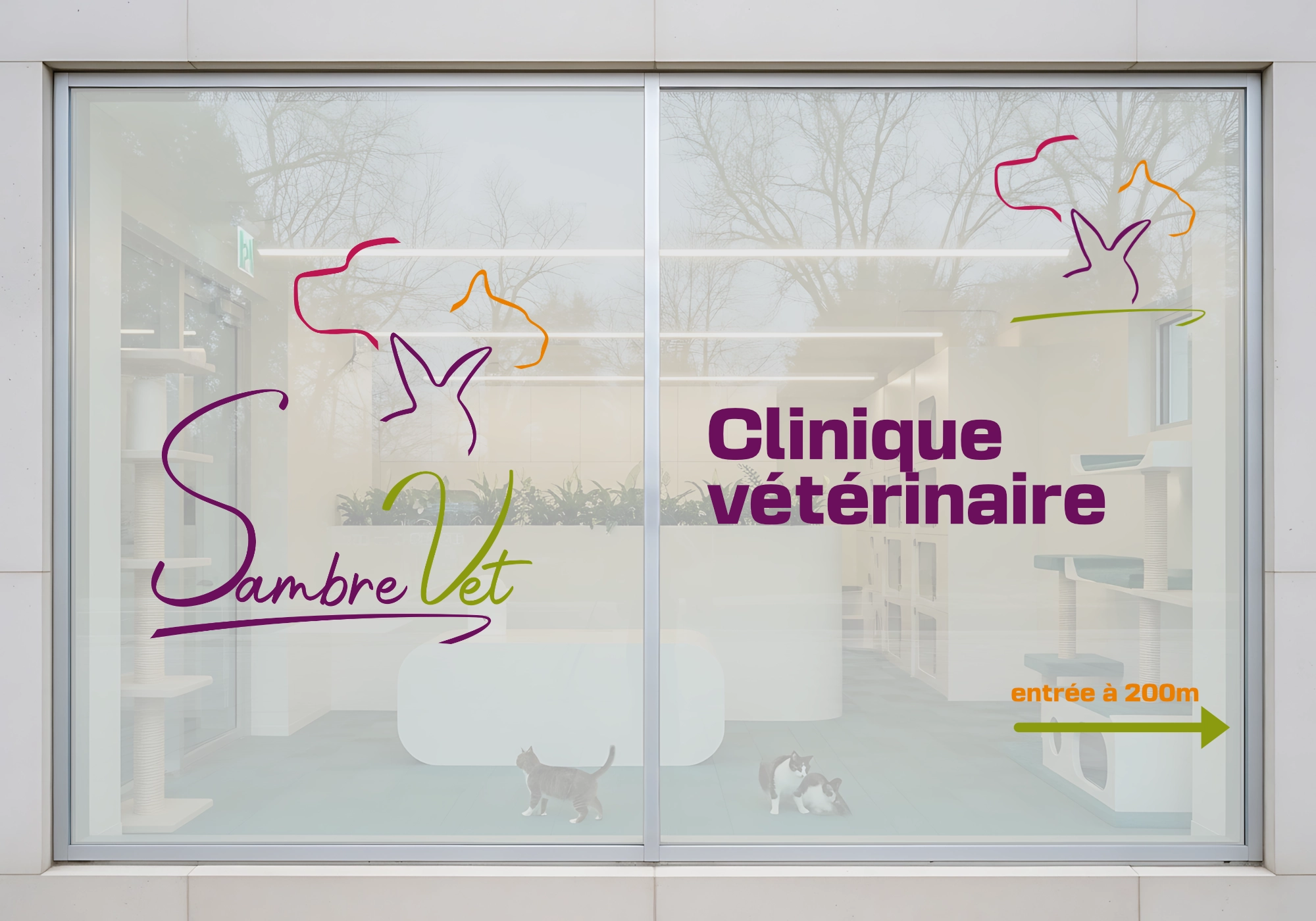 Adhésifs de vitrine